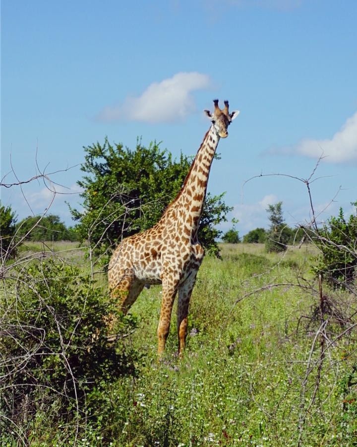 Mabata Makali Luxury Tented Camp Ilusi 外观 照片